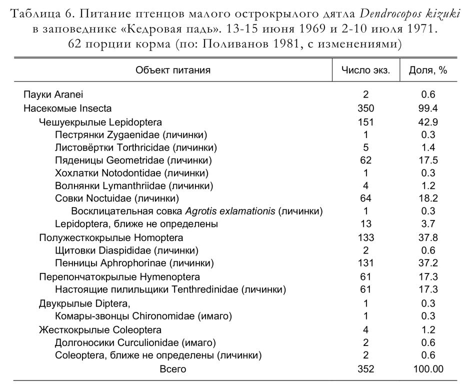 Питание птенцов малого острокрылого дятла Dendrocopos kizuki
в заповеднике «Кедровая падь».