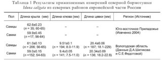 Результаты прижизненных измерений северной бормотушки
Iduna caligata из северных районов европейской части России