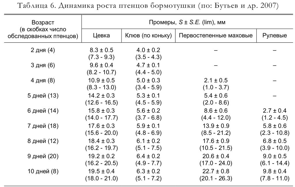 Динамика роста птенцов бормотушки