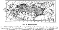 ареал глухаря