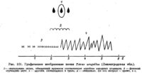 Графическое изображение песни Tetrao urogallus