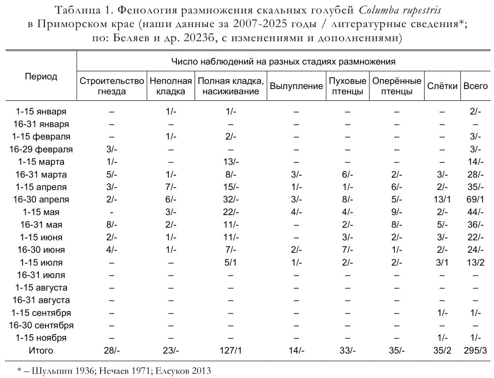 Фенология размножения скальных голубей Columba rupestris в Приморском крае