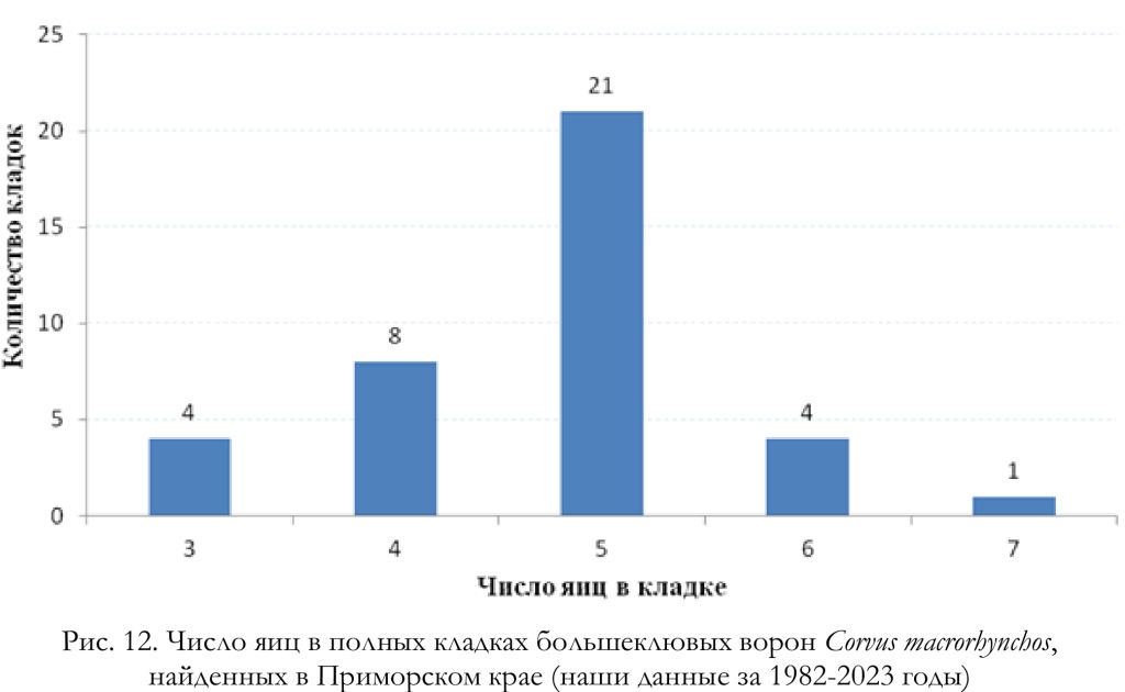 Число яиц в полных кладках большеклювых ворон Corvus macrorhynchos,
найденных в Приморском крае