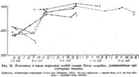 Изменения в массе отдельных особей самцов Tetrao urogallus