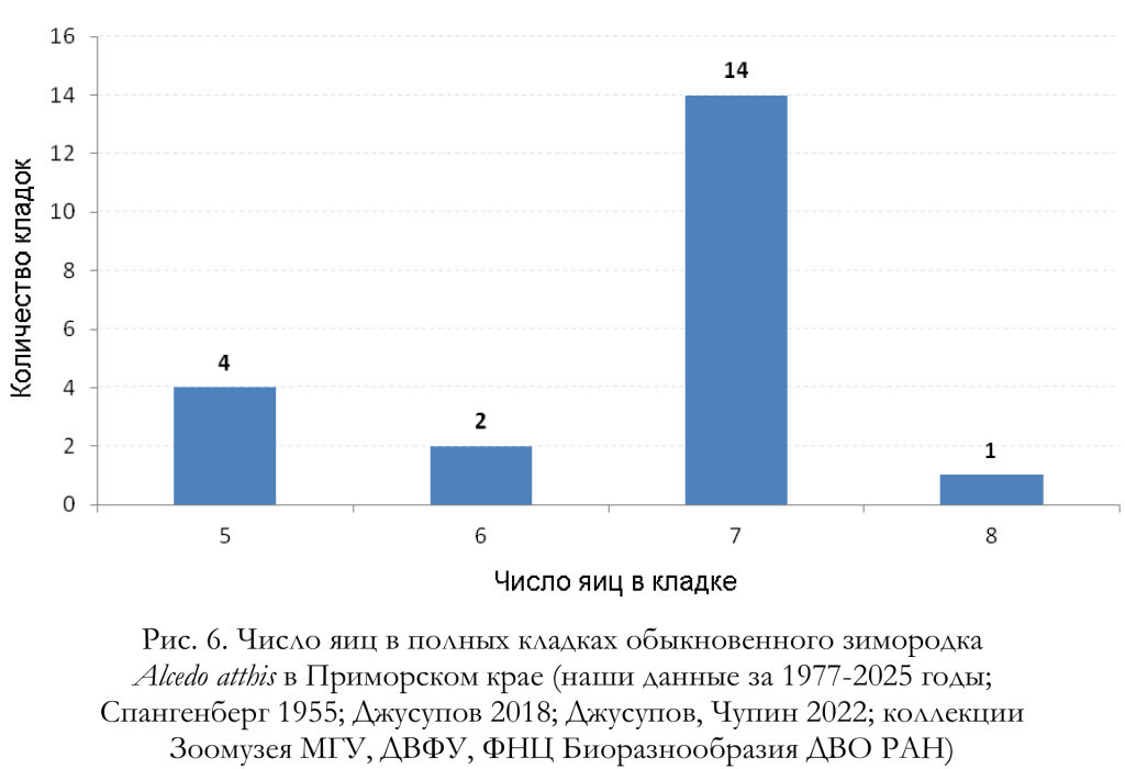Число яиц в полных кладках обыкновенного зимородка
Alcedo atthis в Приморском крае