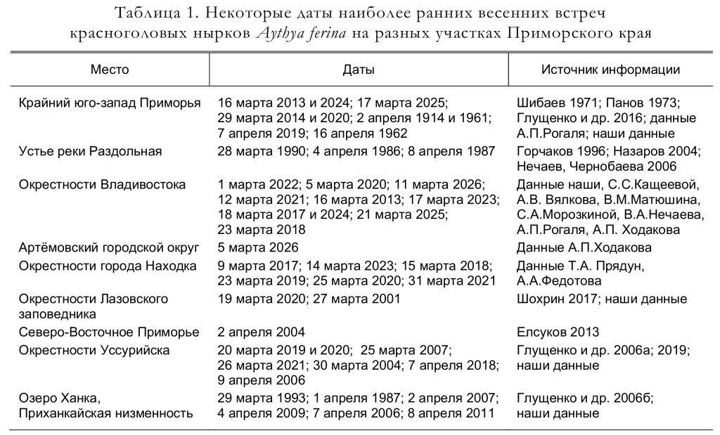 Некоторые даты наиболее ранних весенних встреч красноголовых нырков Aythya ferina на разных участках Приморского края