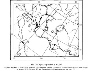 Ареал султанки в СССР