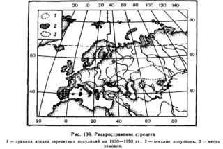 Распространение стрепета