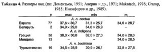 Размеры яиц