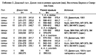 Домовый сыч. Длина тела и размах крыльев (мм). Восточная Европа и Север­ная Азия