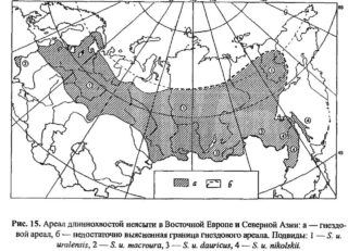 Ареал длиннохвостой неясыти в Восточной Европе и Северной Азии