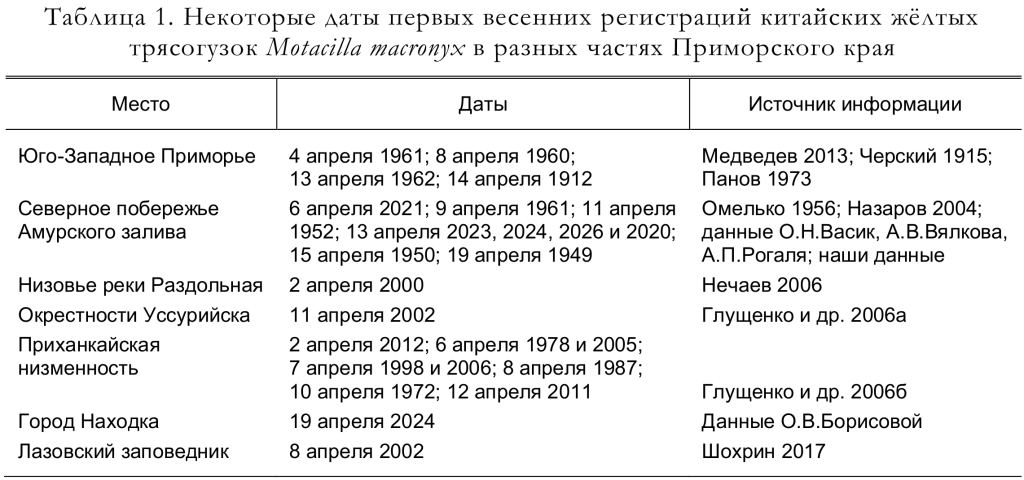 Некоторые даты первых весенних регистраций китайских жёлтых трясогузок Motacilla macronyx в разных частях Приморского края