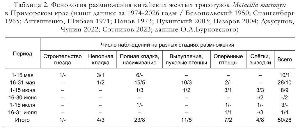 Фенология размножения китайских жёлтых трясогузок Motacilla macronyx
в Приморском крае