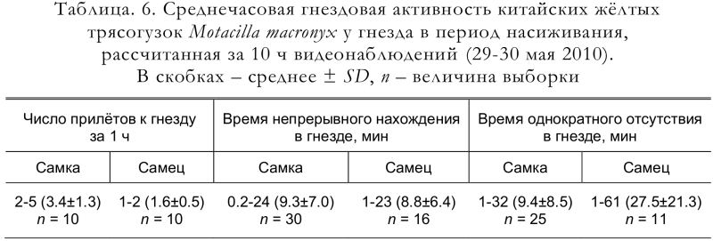 Среднечасовая гнездовая активность китайских жёлтых
трясогузок Motacilla macronyx у гнезда в период насиживания